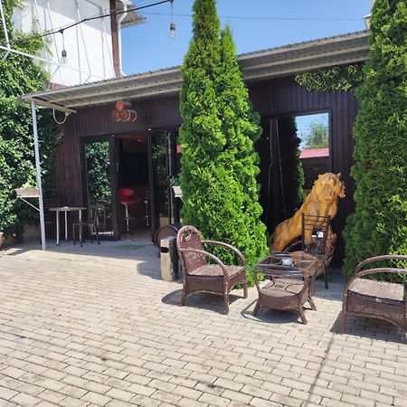 Hotel В Гостях На Иссык-Куле Cholpon-Ata Esterno foto